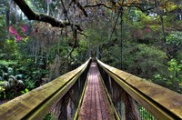 Bridge_in_ravine_park