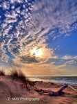 Lifes_a_beach2
