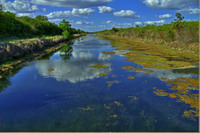 Outfall_canal_2