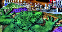 Greeniguiana_hdr_01