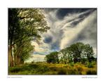 Campos-de-montemor