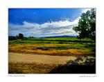Campos-do-mondego