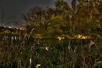 Lackircygne_900px_