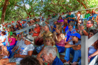 The-crowd
