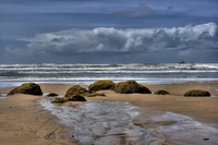 Green_beach_rocks