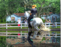 _flying_horse_hdr_flood_1tonemapped
