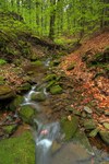 Mountain_stream