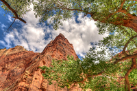 Zion_6