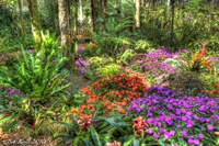 Flower-beds