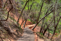 Zion_13