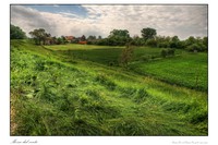 Mosse_dal_vento