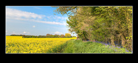 Blue_n_yellow_panorama2