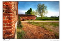 The_wall