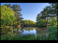 Hdr_1