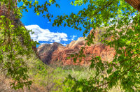 Zion_9