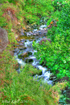 Ioa-valley-creek_-hawaii