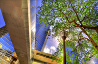 Tampa_hdr_04