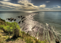 Cape_kidnappers_005