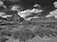 Desert_bw