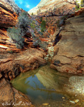 Rustler_s-hideout-jtnp