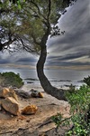 _eve8929_30_33_tonemappedll