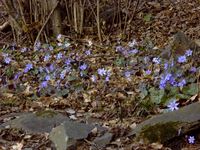 Elab_in_cam_raw3d