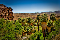 Dsc_0860_1_2_3_4