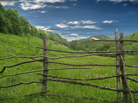 Behind_the_fence