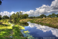 Kapok_parkj_cr-mg_9833_4_5_tonemapped_edited-1