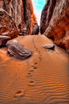 Footsteps-1a