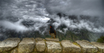 Caracara