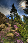 Ohme_gardens_02