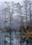 Ejv_8335