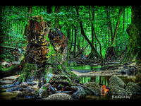 Dsc_0384_2_3_tonemapped_copy