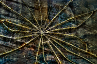 Shattered_1_of_1_