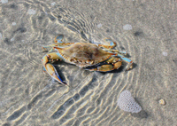 Img_2088done_crop