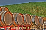 Wine-barrels-in-paso-robles