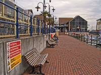 P6130717_to_p6130719_orf