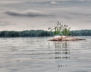 Bird_island
