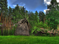 Hoelzerne-muehle-im-wald-a21475926
