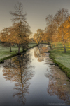 Frosty_reflections