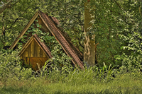 Creek-building