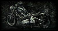 Warren_bike_cyan_cast_no_text_