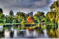 Img_9133_4_5_tonemapped-ltm