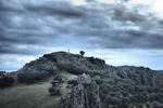 El-arbol-del-ahorcado