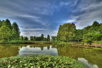 _dsc_6959and2more_tonemapped_01