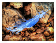 Feather45hdrsm