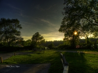 Logans_landing_1