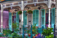 Teal-shutters