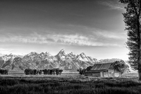 _des0537_8_9-b_w